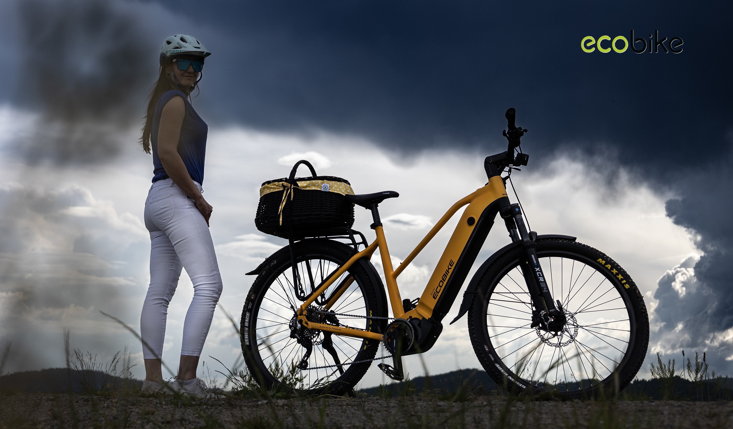 Ecobike